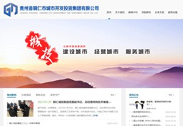 开阳城市开发投资集团有限公司